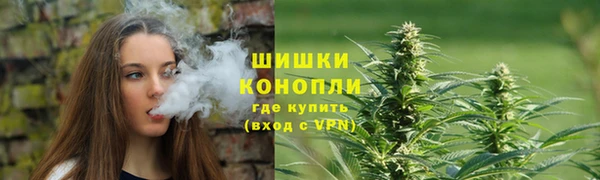 ПСИЛОЦИБИНОВЫЕ ГРИБЫ Галич