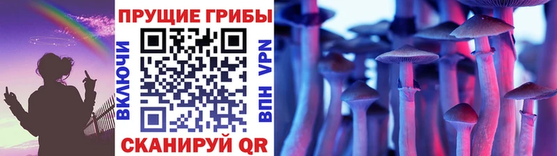 Псилоцибиновые грибы мицелий  Партизанск 