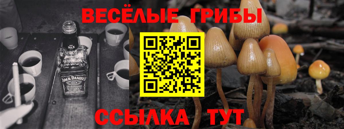 Партизанск  Галлюциногенные грибы ЛСД  Вход с VPN  Псилоцибиновые грибы Psilocybe 